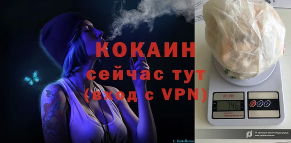 spice Белокуриха