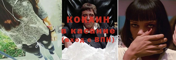прущие грибы Семикаракорск